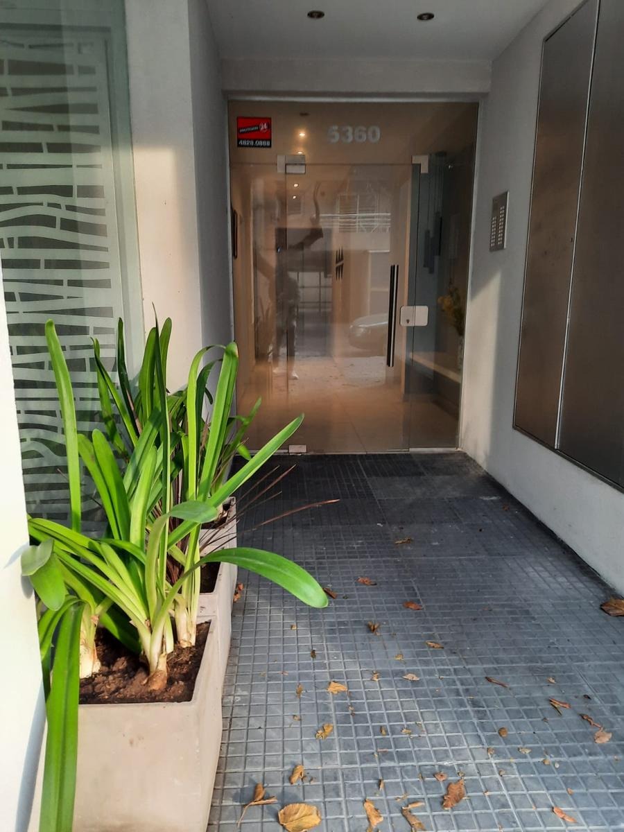 WhatsApp Image 2025-08-07 at 11.35.50 (1)