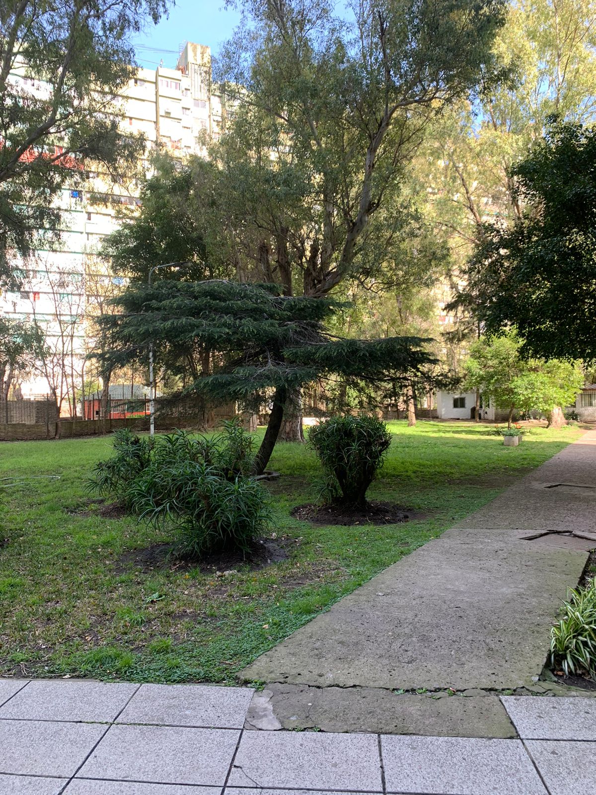 Imagen de WhatsApp 2024-09-20 a las 11.18.45_9939ae48