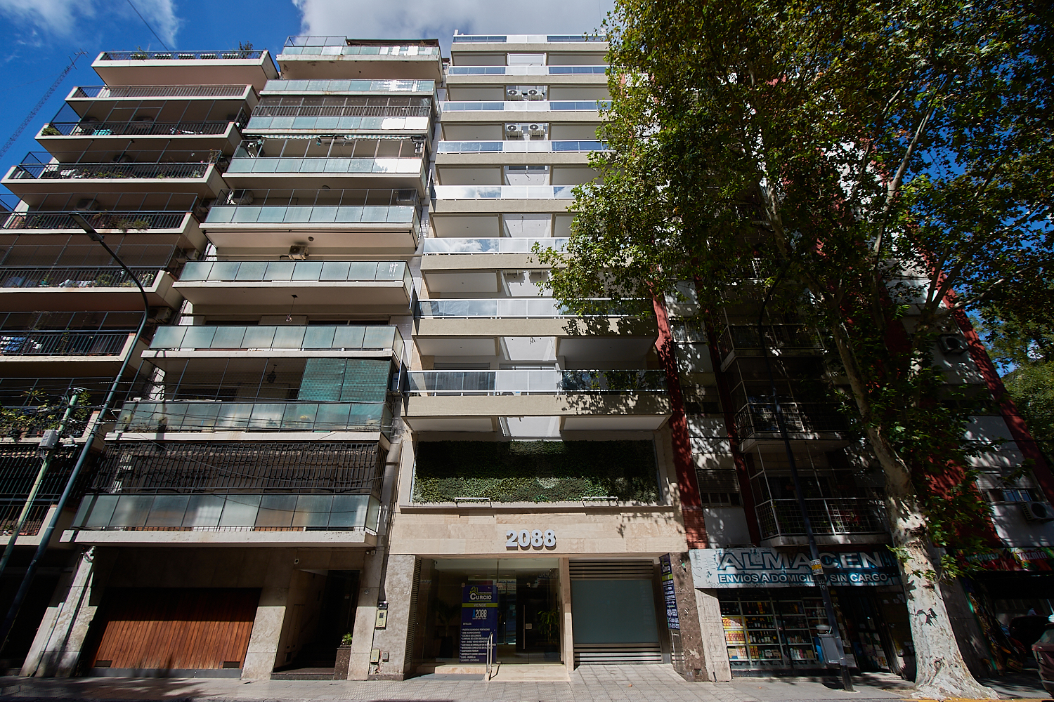 Juan Bautista Alberdi- 30