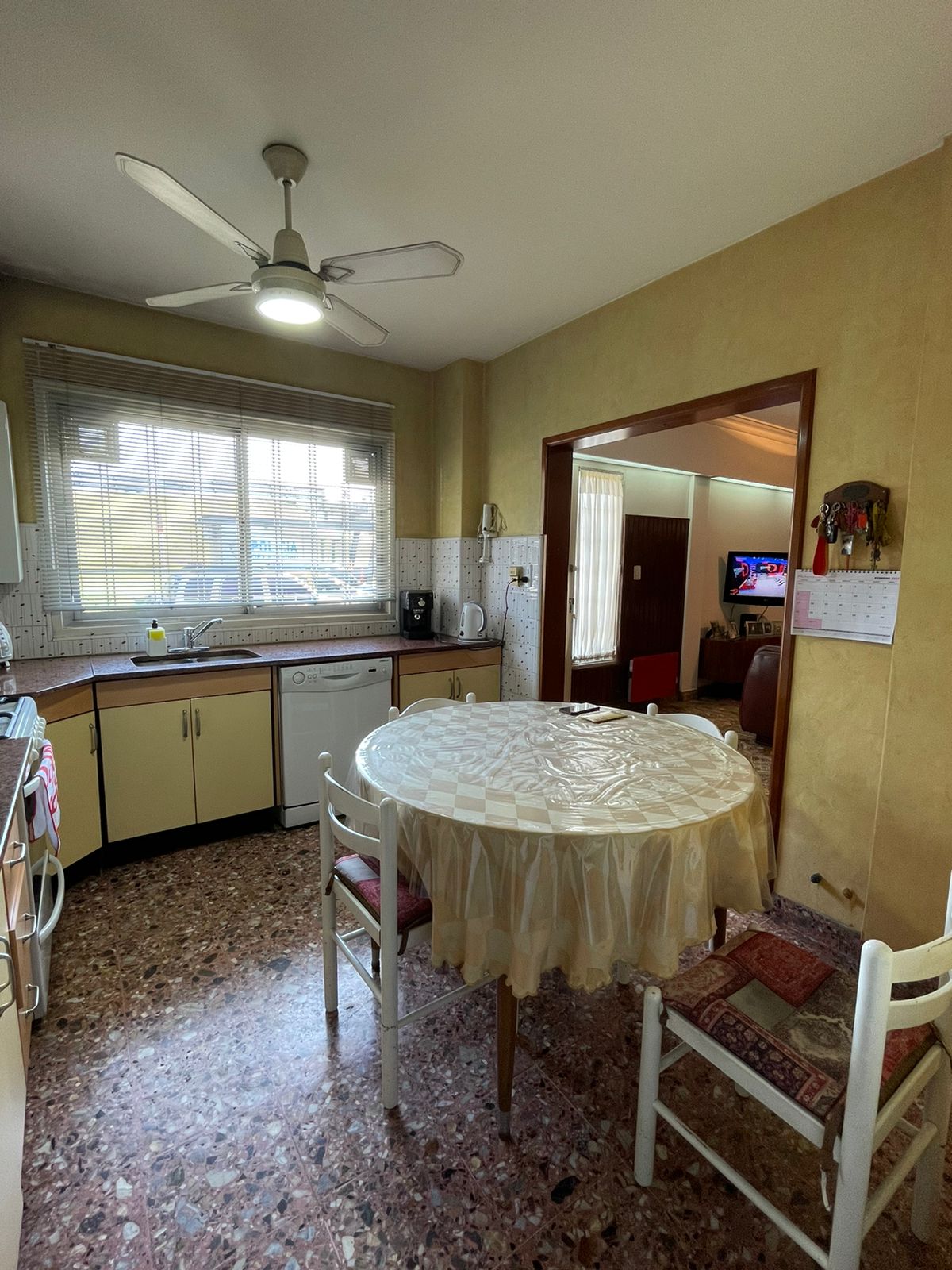 WhatsApp Image 2022-02-15 at 16.47.34