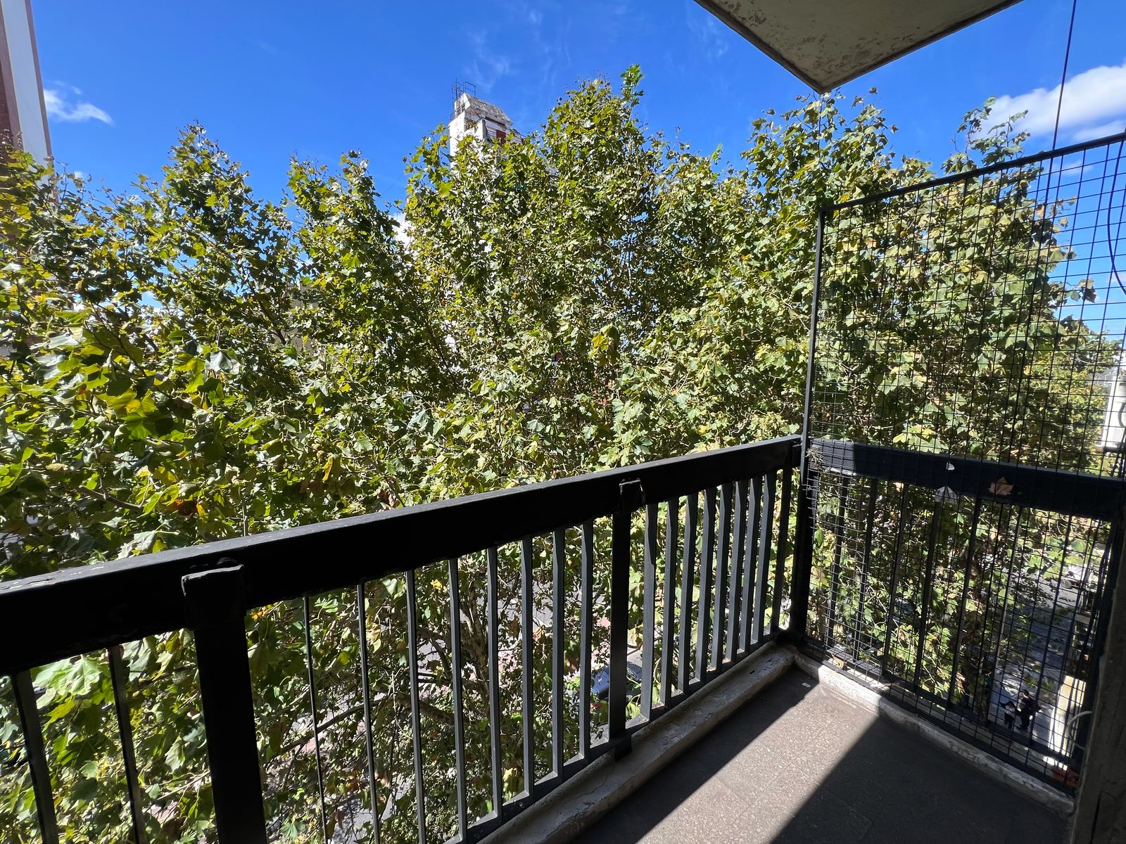 WhatsApp Image 2025-04-01 at 13.29.38