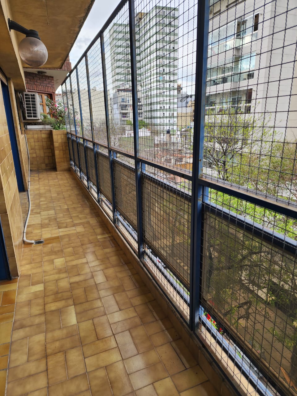 WhatsApp Image 2025-09-23 at 6.42.37 PM