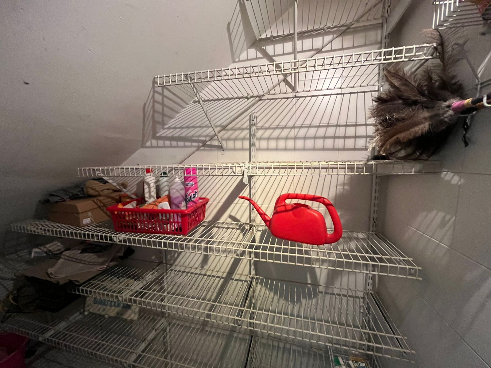 WhatsApp Image 2025-10-30 at 12.18.57 PM