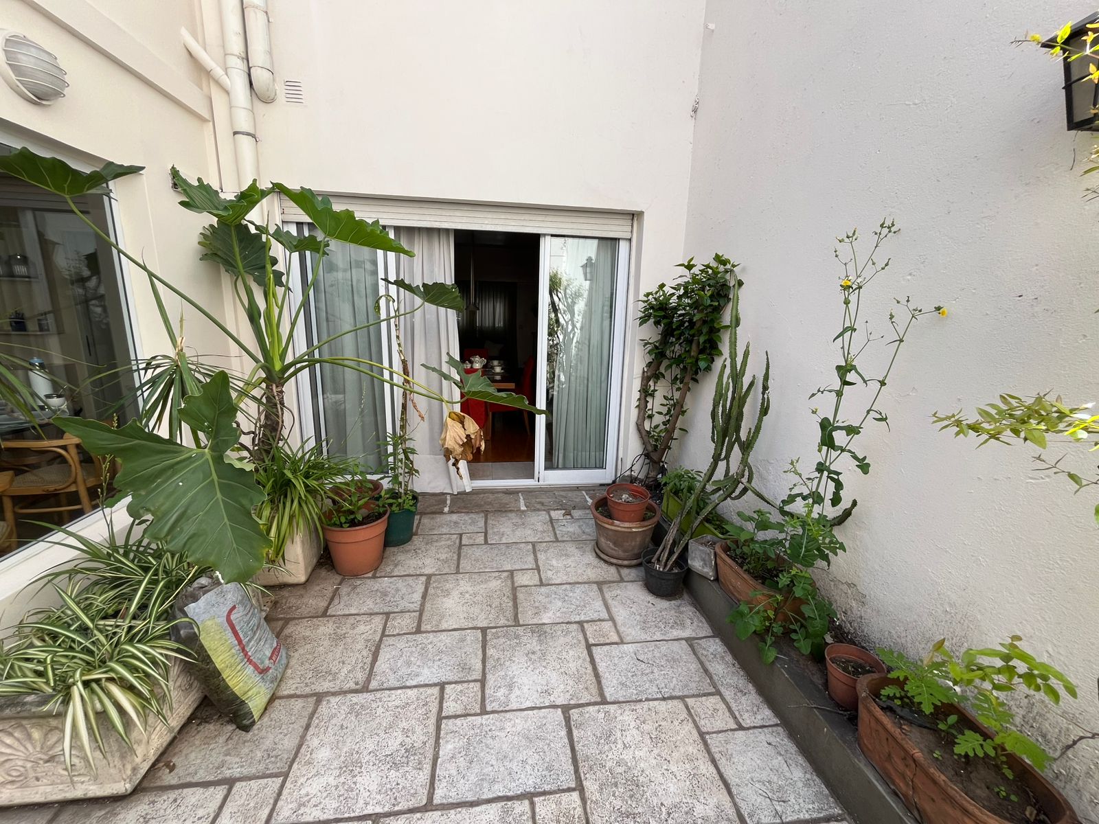 WhatsApp Image 2025-10-30 at 12.29.08 PM (1)