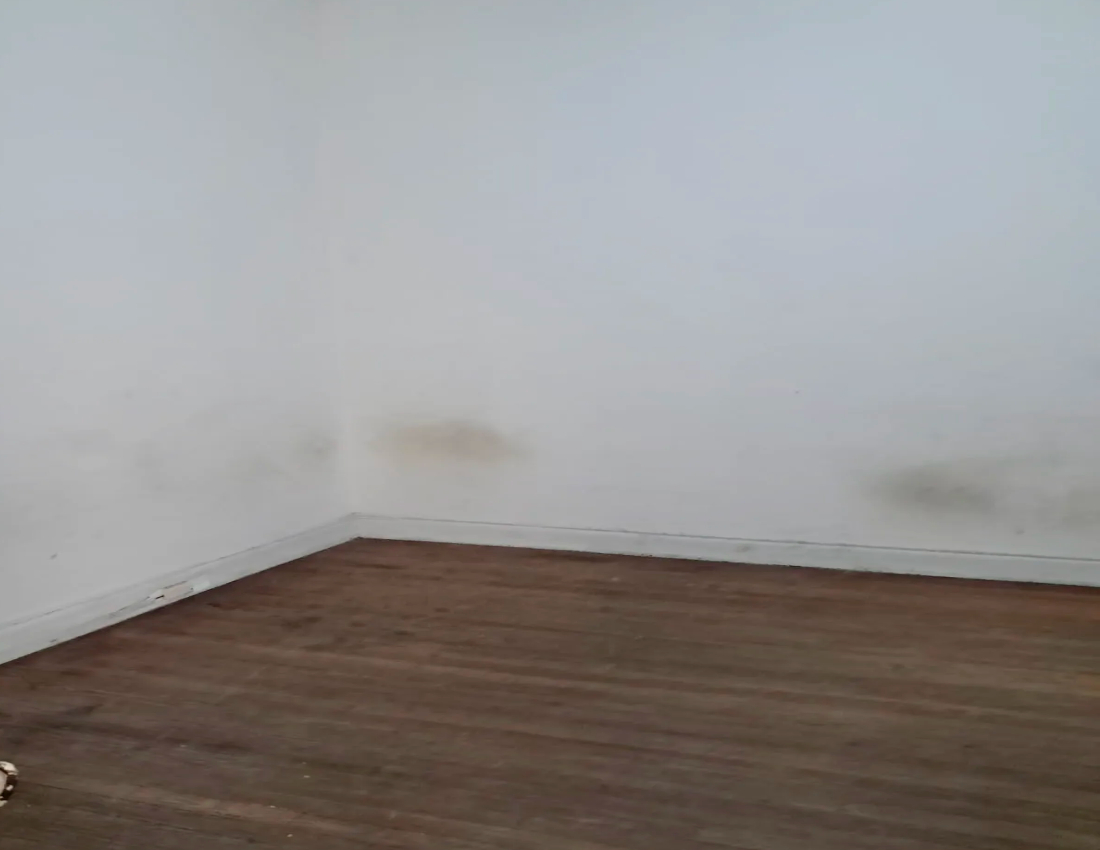 Untitled Project – 2026-02-10T112336.470