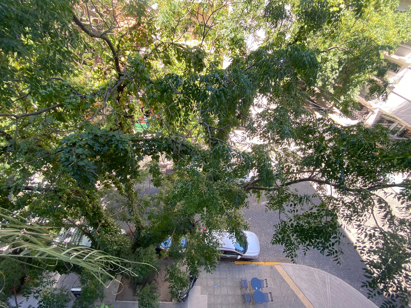 WhatsApp Image 2026-02-06 at 14.39.49