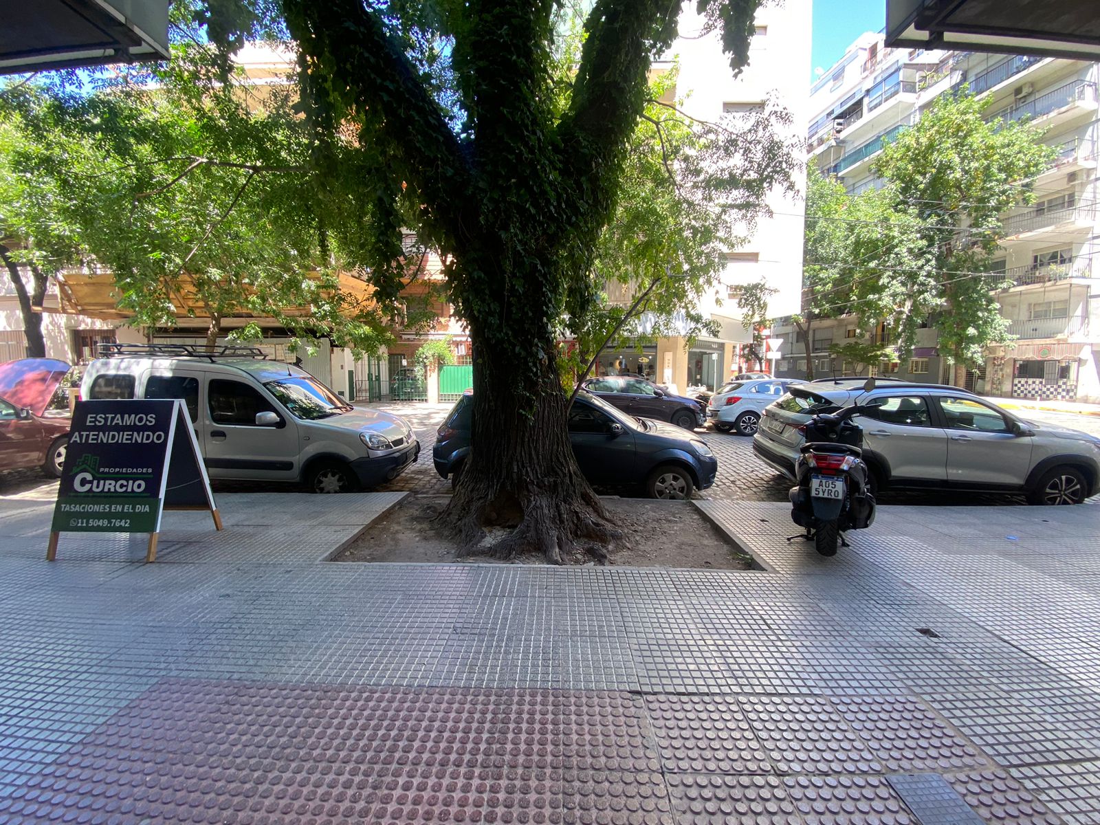 WhatsApp Image 2026-02-06 at 14.39.56 (2)